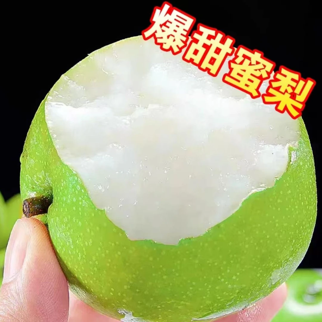 【砀山梨】5新鲜现摘青皮梨酥脆多汁皮薄无渣原产地直发5斤/9斤