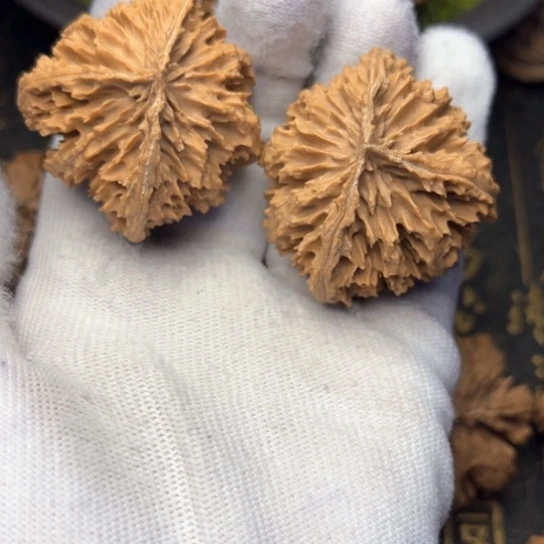 北***斗把件文玩核桃秦岭核桃28