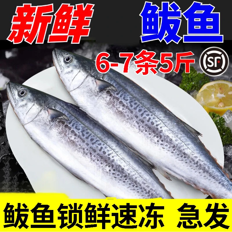 5斤海捕速冻鲜活鲅鱼新鲜马鲛鱼整条冷冻海捕深海鱼6-7条装