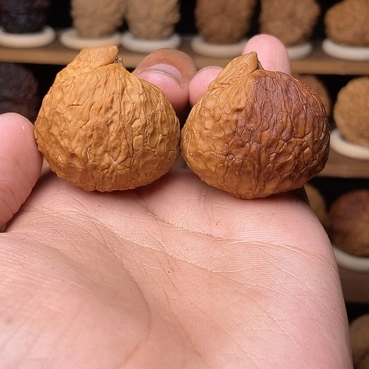 核桃铁核桃手把件甲壳虫