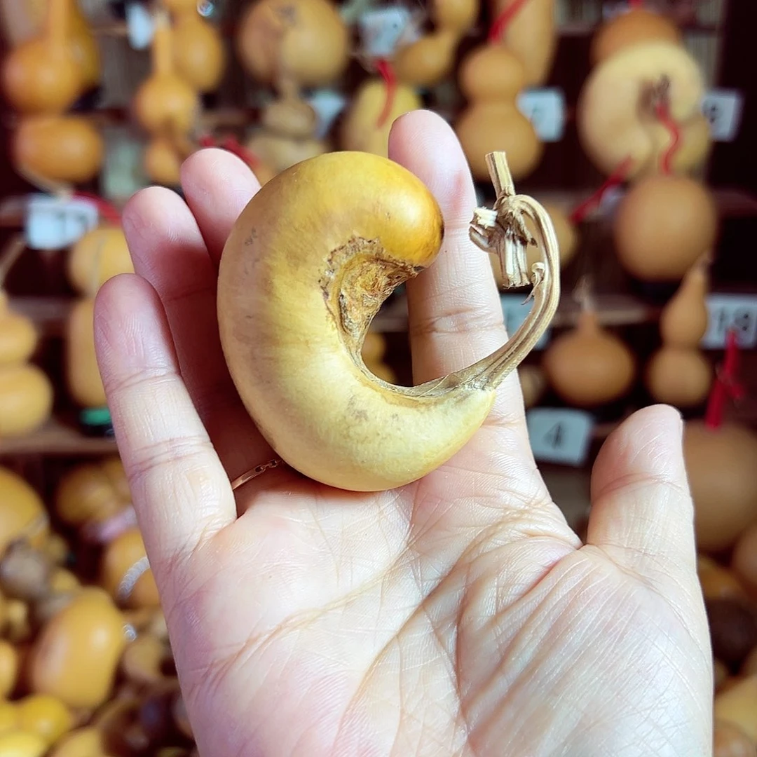 花皮小腰子40米包邮到家