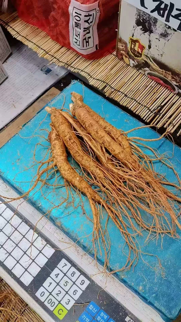 正宗韩国高丽参新鲜现挖带土产地直发顺丰空运包邮