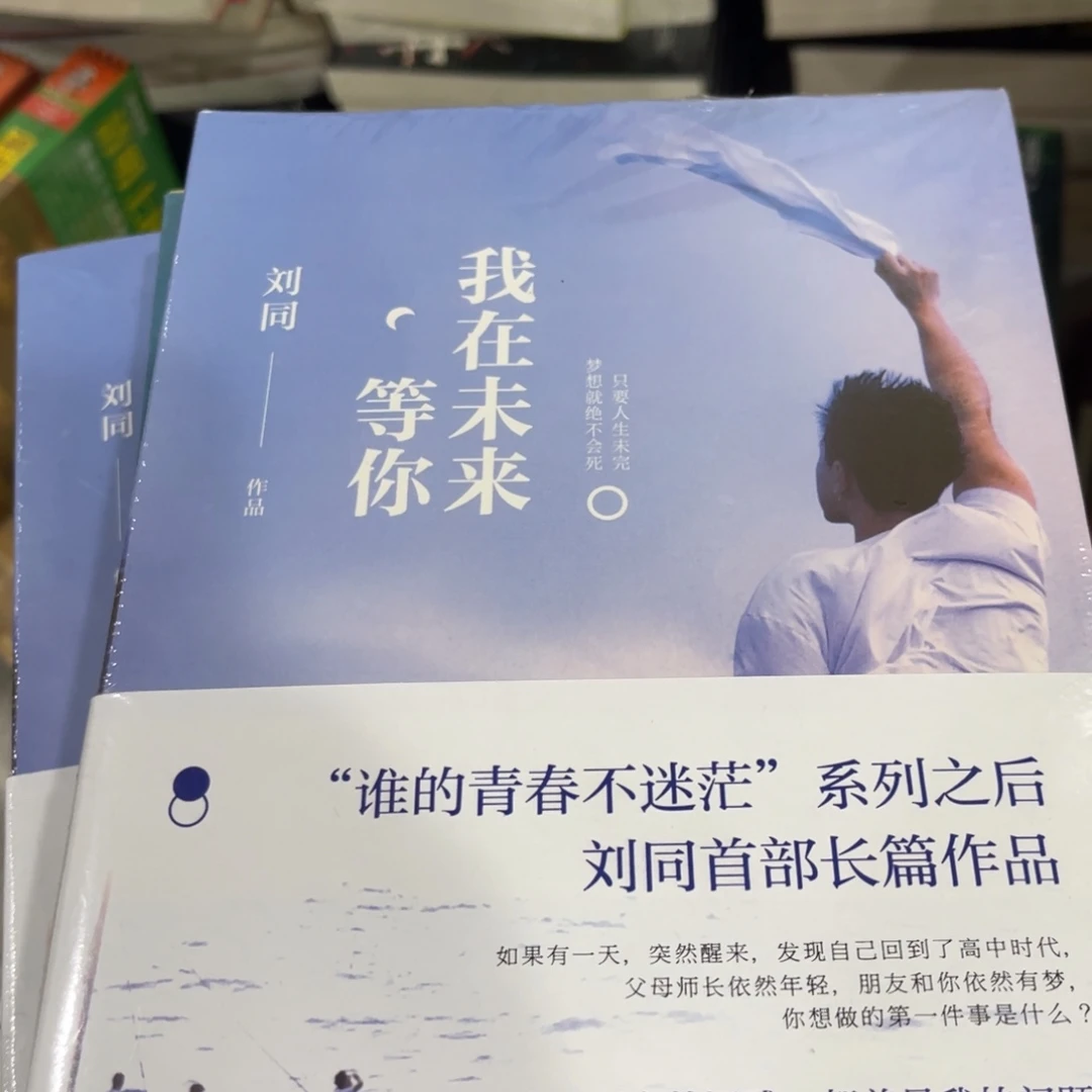 我在未来等你简装