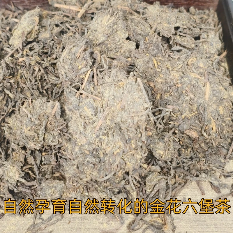 自然孕育转化特级金花六堡茶2010陈化广西梧州菌香六堡茶散茶