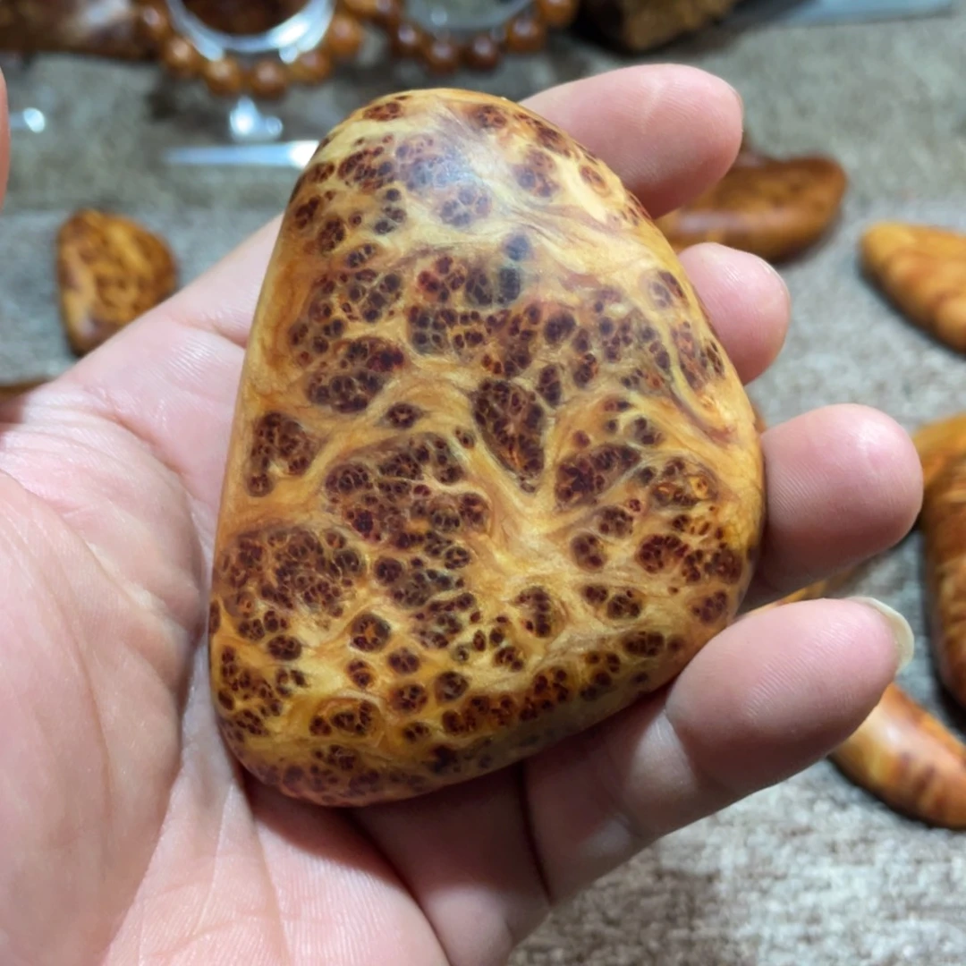 柏木（崖柏）其他把