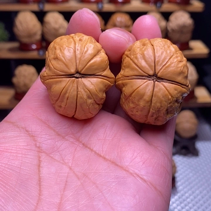 木质类云铁云鸡63号