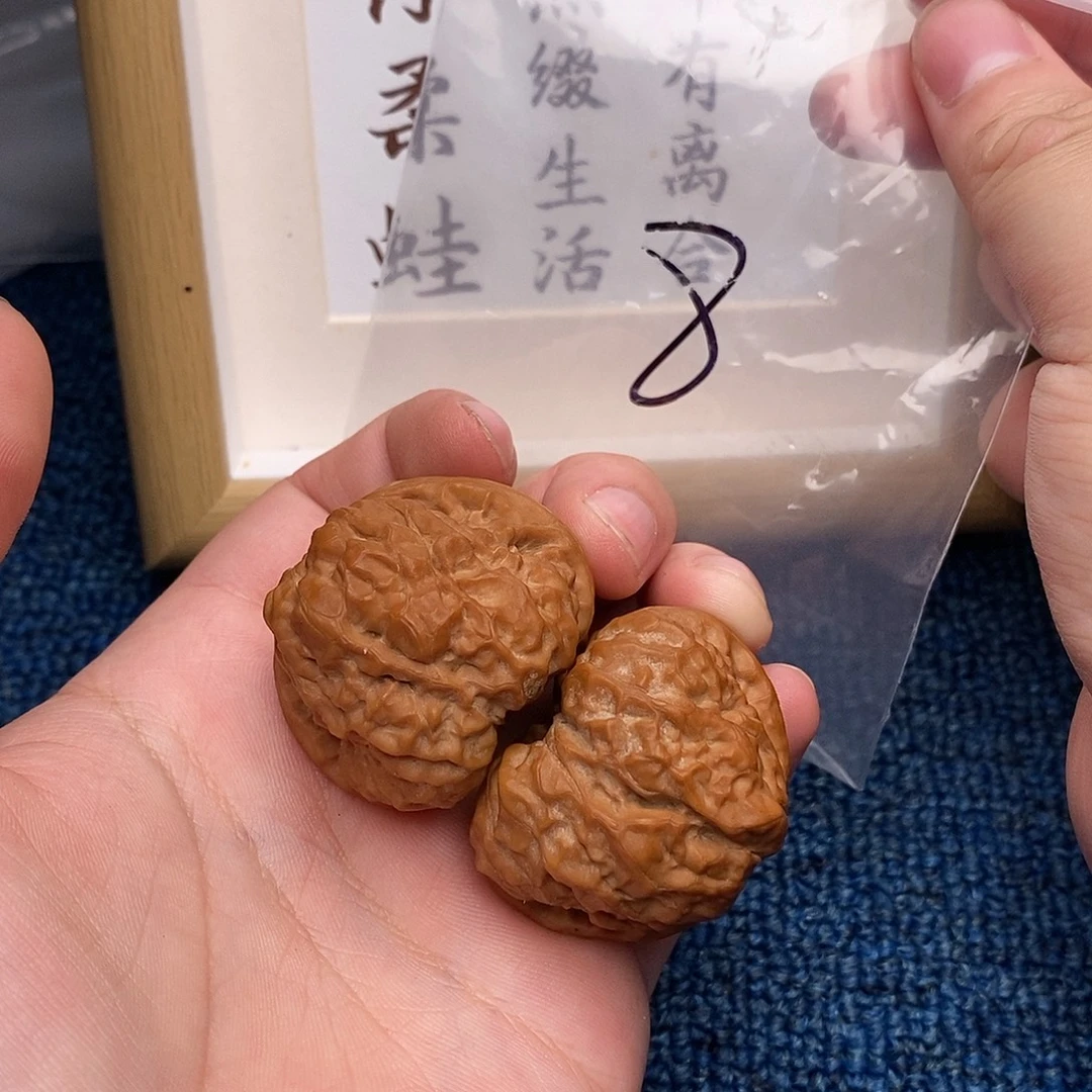 文玩核桃把件蛤蟆头41尺轻微扫尖