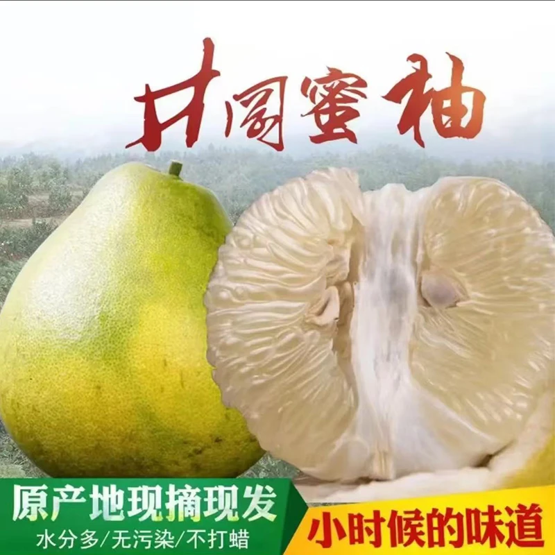 [礼盒装]正宗江西吉安井冈蜜柚金沙柚纯甜无酸爆汁吉水薄皮柚子