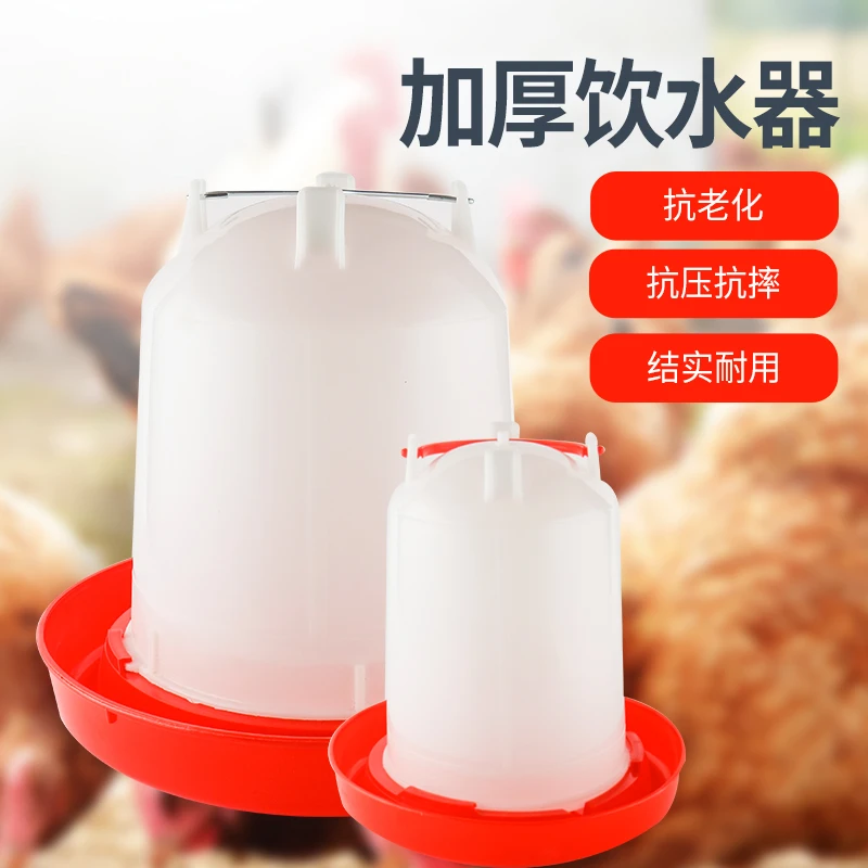 小鸡喝水饮水器自动喂食器鸽子饲料芦丁鸡好物鸡用喂水器喂鸡食槽