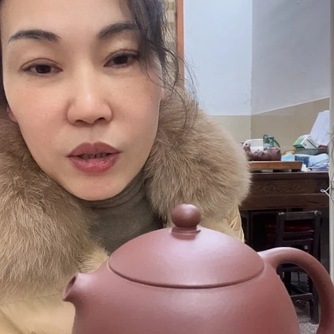 紫砂茶壶老紫泥西施250c c