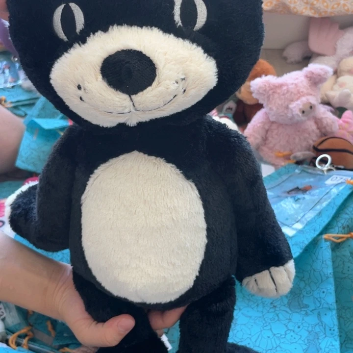 大黑猫带袋子大黑猫