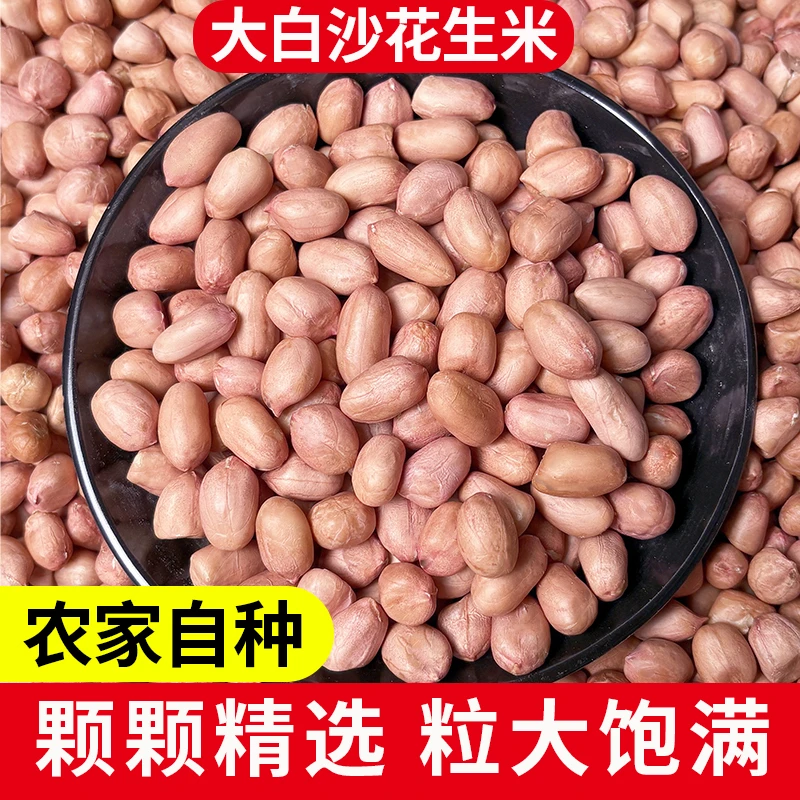 10斤5斤3斤河南大白沙去壳粉皮生花生米农家种植可榨油可生吃花生