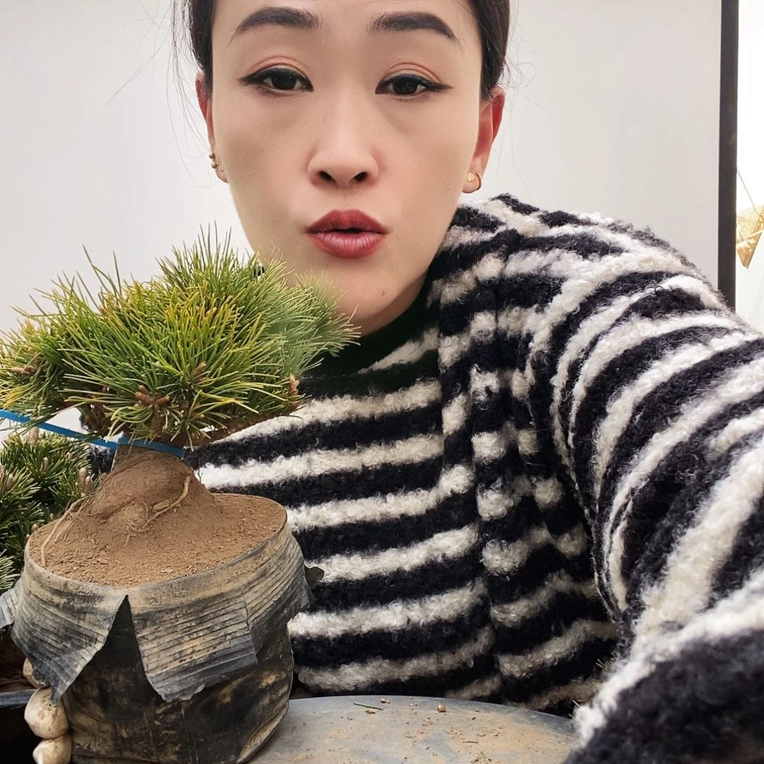无花朵植物形态多年生草本