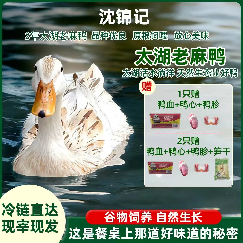 沈锦记太湖麻鸭农家生态散养老麻鸭现抓现杀发整只麻鸭肉顺丰发货