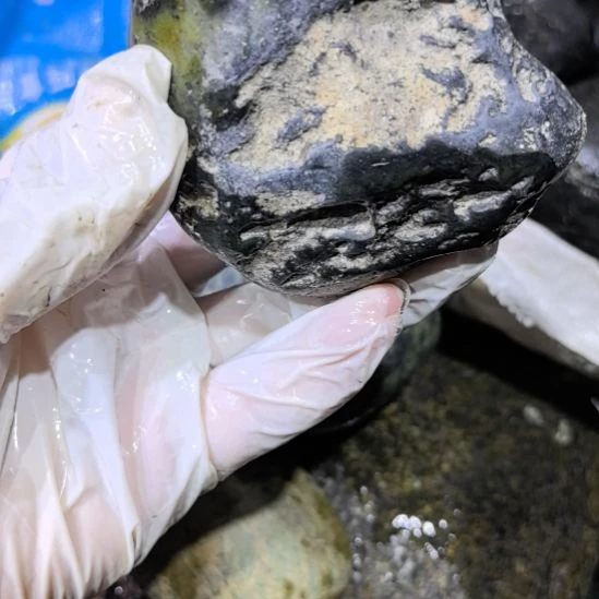 邓***柱有机玻璃藏玉药王石原石