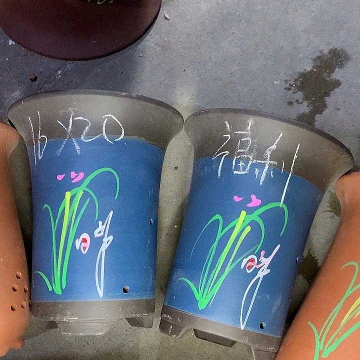 紫砂花盆紫砂的颜色很好看呀