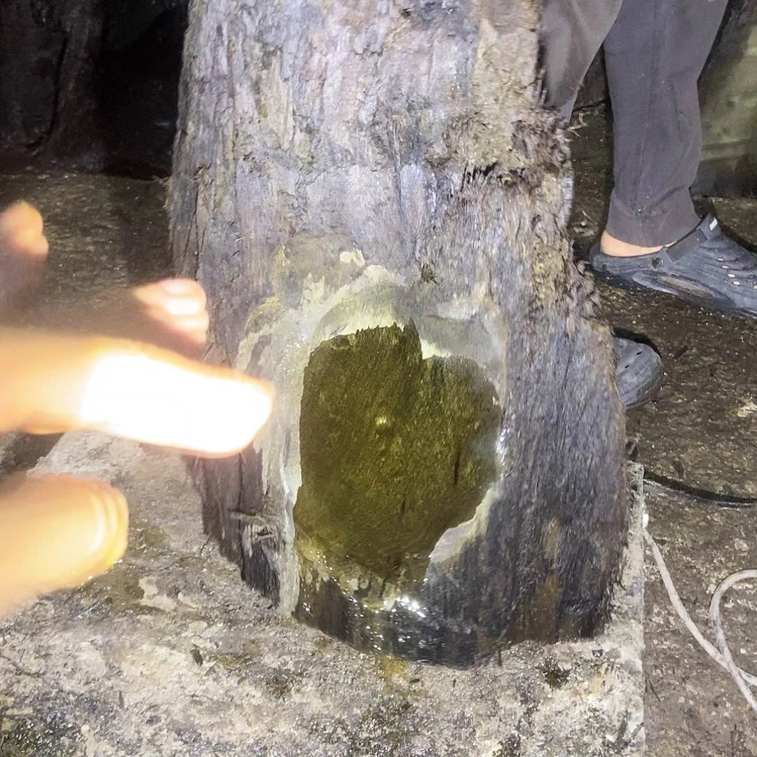 佳*金丝楠阴沉木毛料