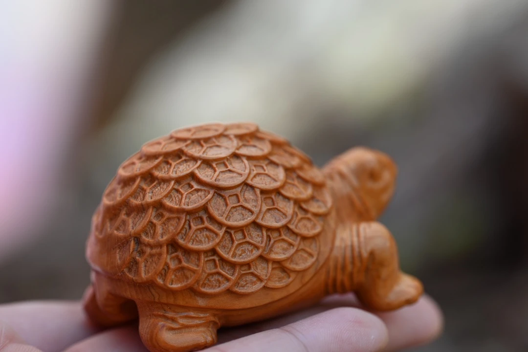 崖柏精工雕刻金钱龟手把件