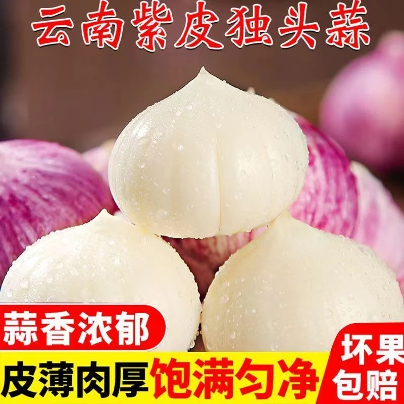 【新店半价】云南紫皮独头蒜新鲜特级湿蒜大蒜头0.5/2/3/5斤包邮