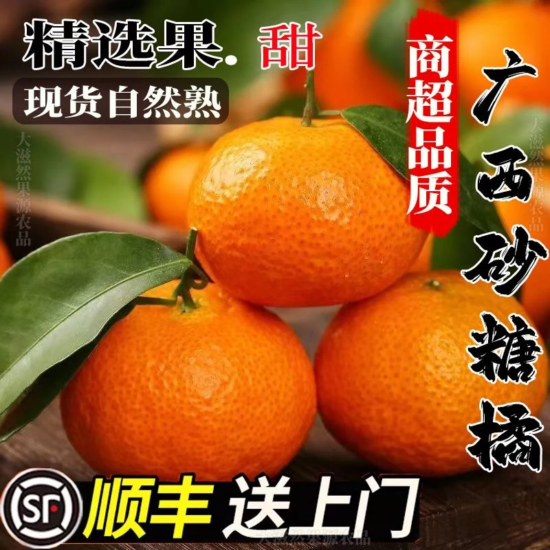 A顺丰【龙娜专属】超甜广西沙糖桔小橘子当季薄皮柑橘无籽桔子整箱