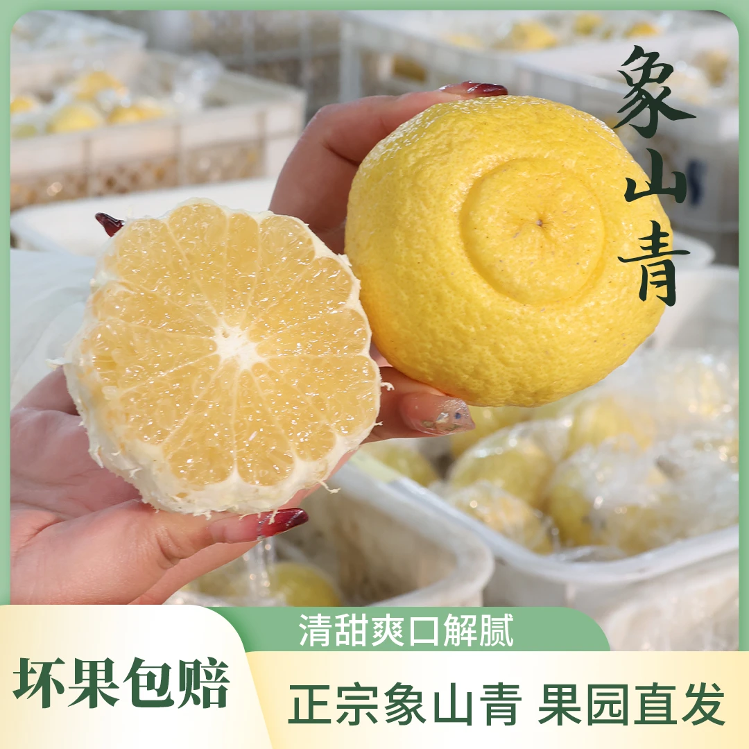 【象山直发】正宗象山青水果新鲜应季水果香甜多汁象山果园直发