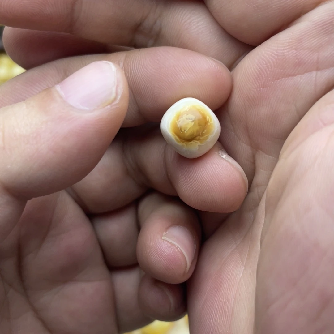 _***_琥珀未镶嵌颈饰琥珀蜜蜡