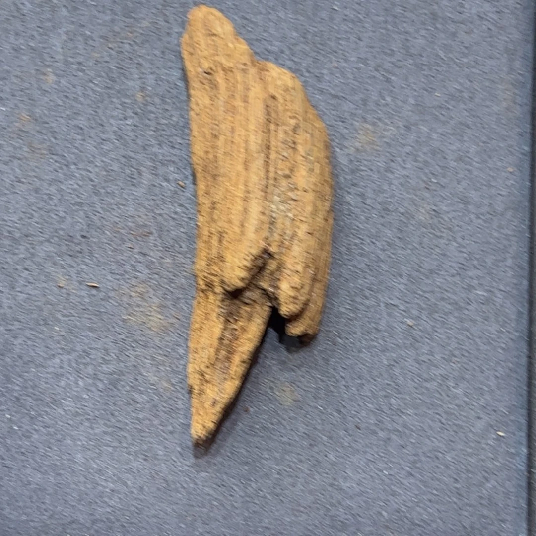 越南富森红土熏香料沉水浮2.7克