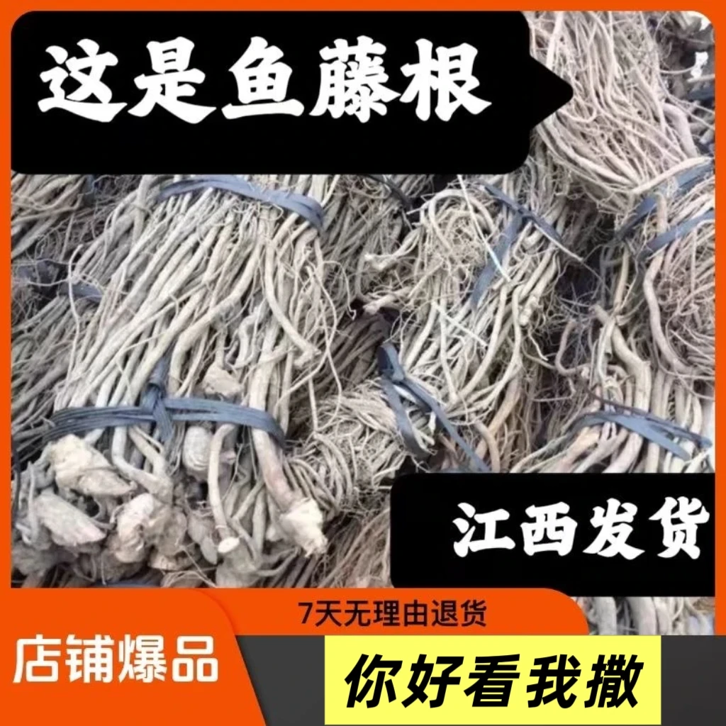 鱼藤根批发鱼藤草鱼藤酮醉鱼清塘 不伤虾蟹鱼滕粉