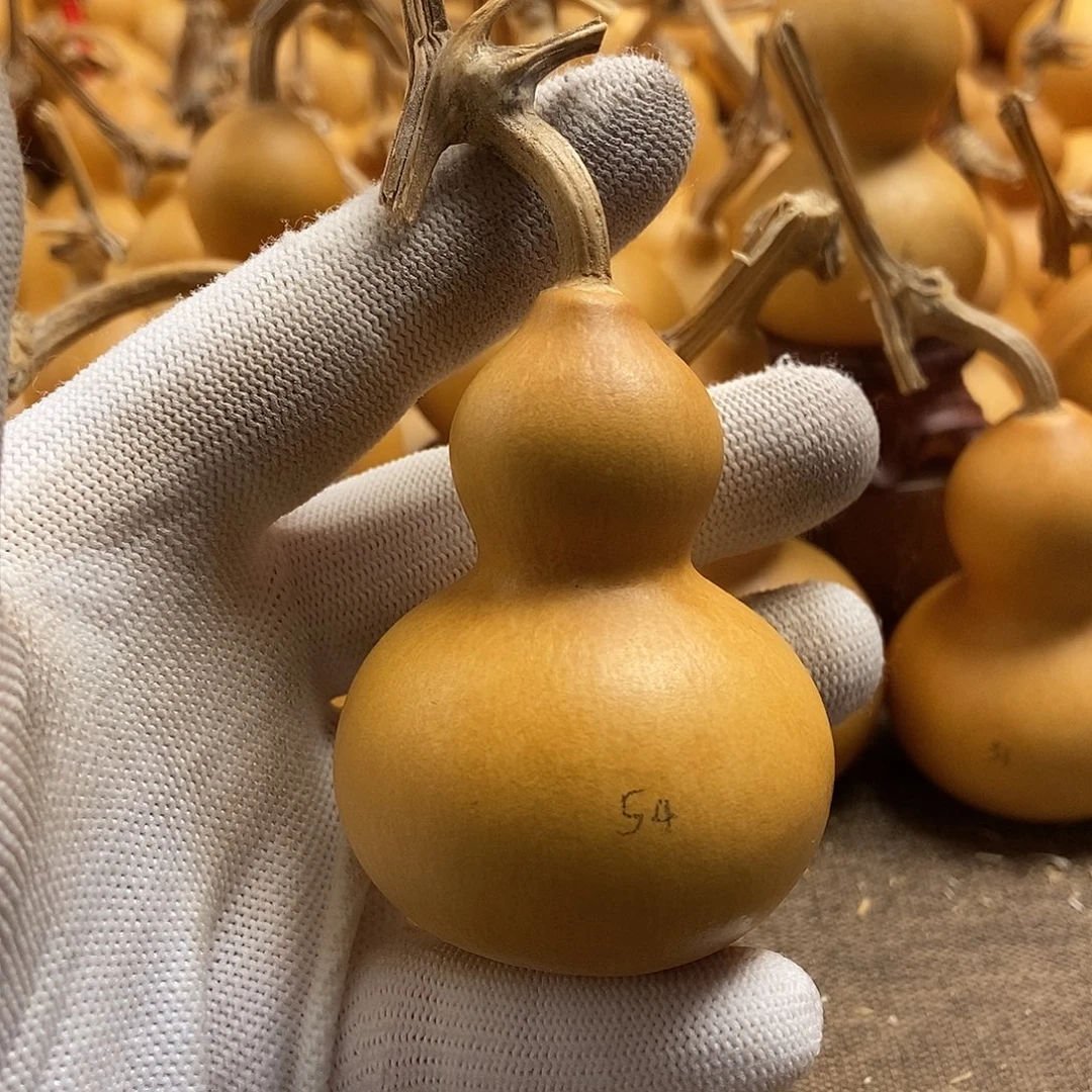 文玩葫芦 完美主义者 慎拍54