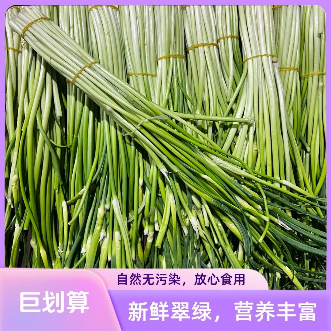 【云南新鲜蒜苔|白帽花苞蒜台】头茬自产现摘现发【放福利收尾】