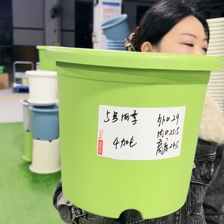 特价5号口29高24.5果绿色5只无托