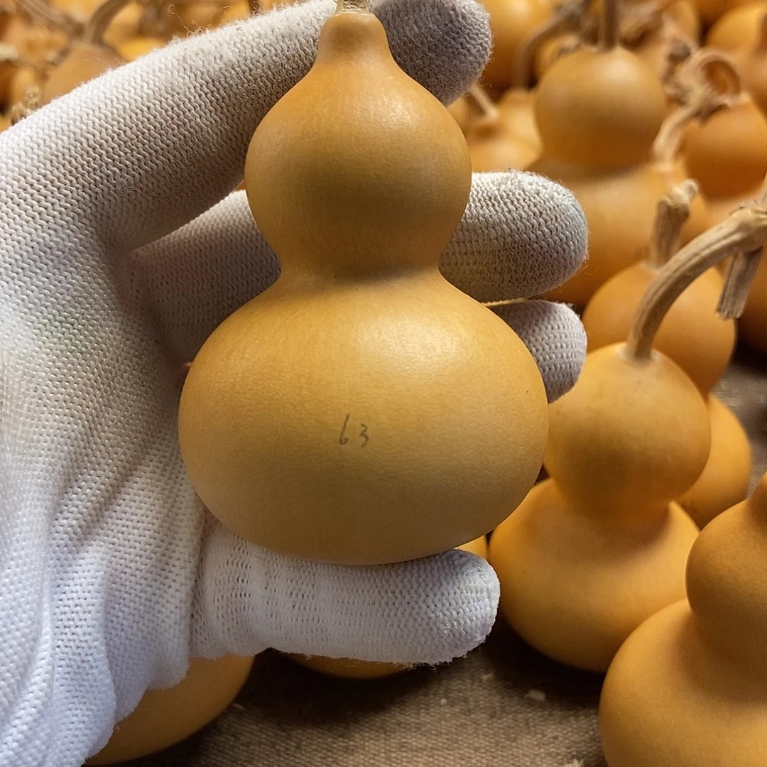 文玩葫芦 完美主义者 慎拍63