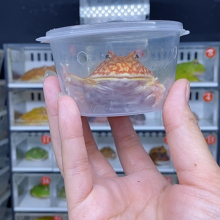 特价秒杀现货特价