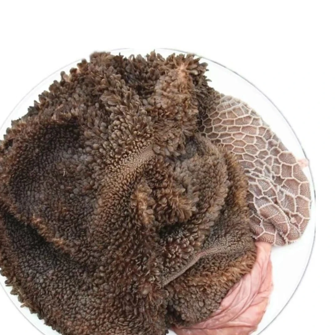 本地放养的黑山羊羊肚每斤25（5斤起发货）