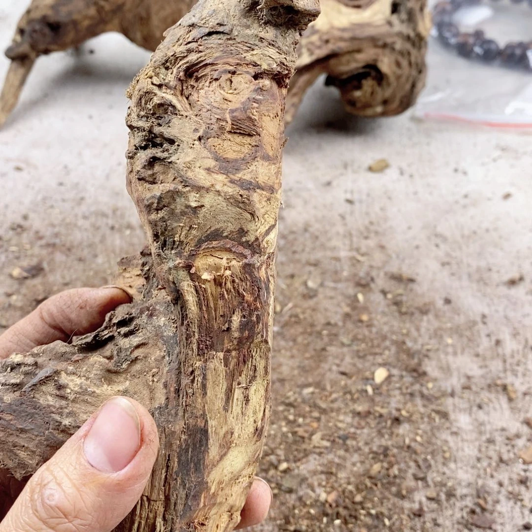 黄花梨/降香黄檀小***事