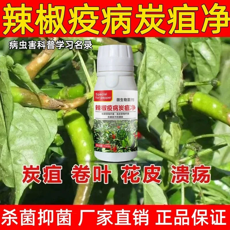 辣椒病菌清辣椒辣椒病毒病炭疽病灰霉病早疫病晚疫病农用水溶肥