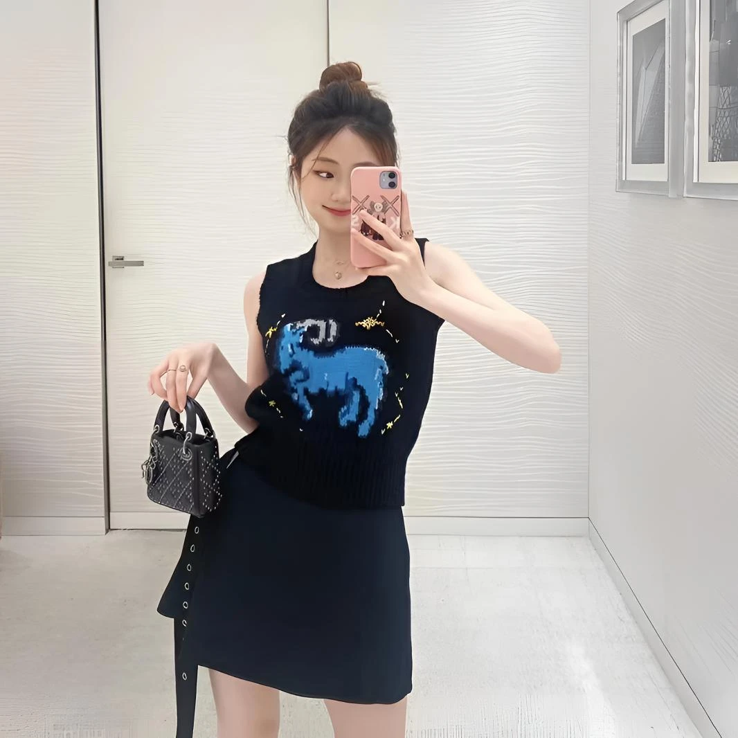 未使用 DIOR/迪奥 2509234/40码/星座图案提花无袖针织背心