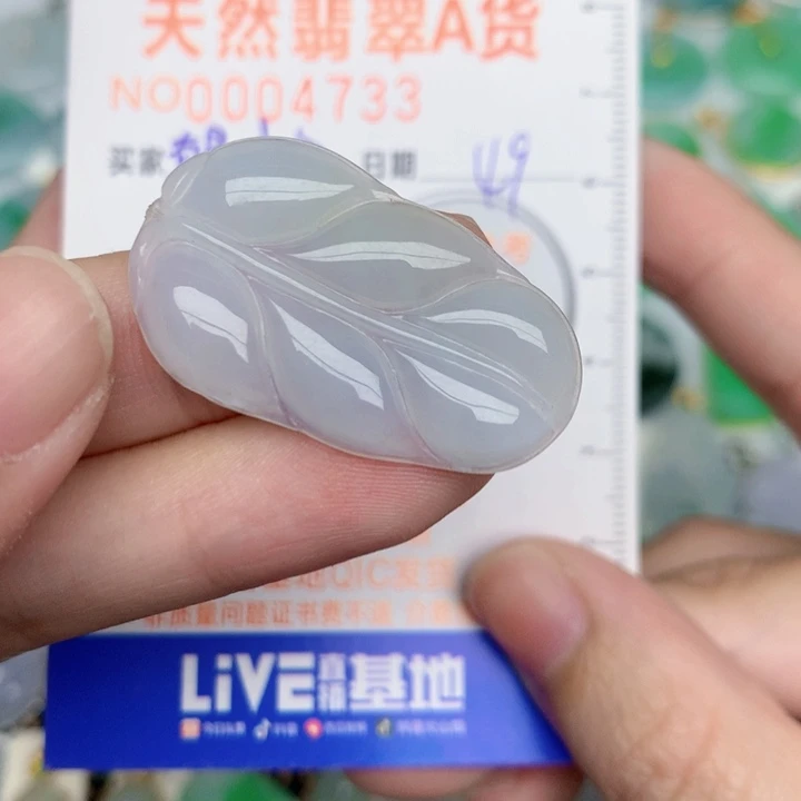 翡翠未镶嵌颈饰叶子