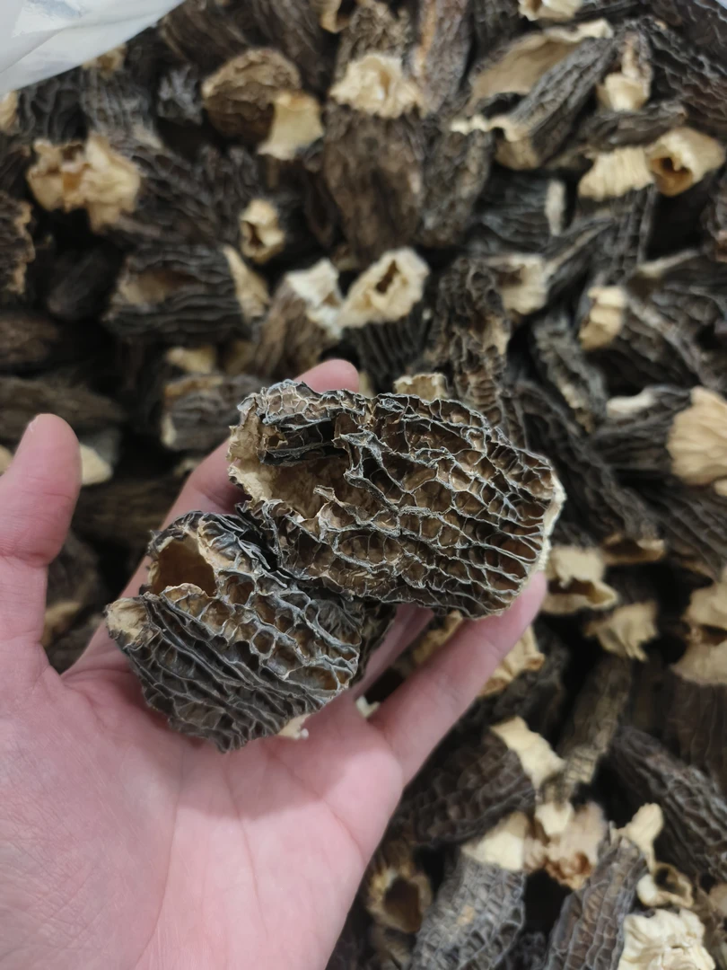 大个子破损羊肚菌 自吃性价比 煲鸡煲鸭煲排骨 宝宝辅食