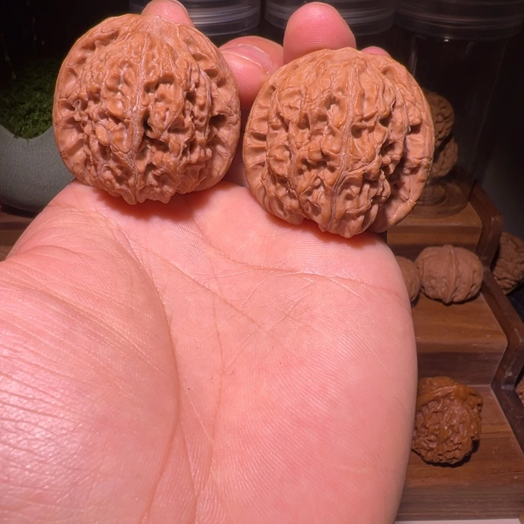 文玩核桃把件42尺全品ss级血麒麟