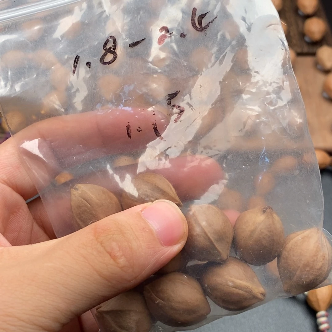 橄榄核手串/手链1824铁