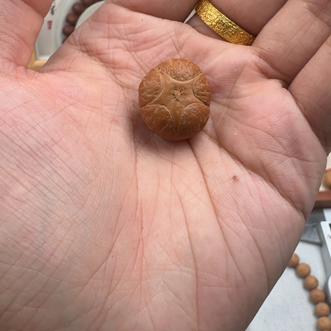 凤眼菩提手串腰子五星