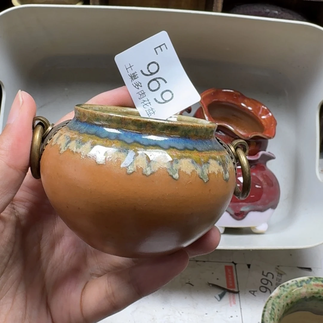 糖***骨陶瓷艺术设计学与制作