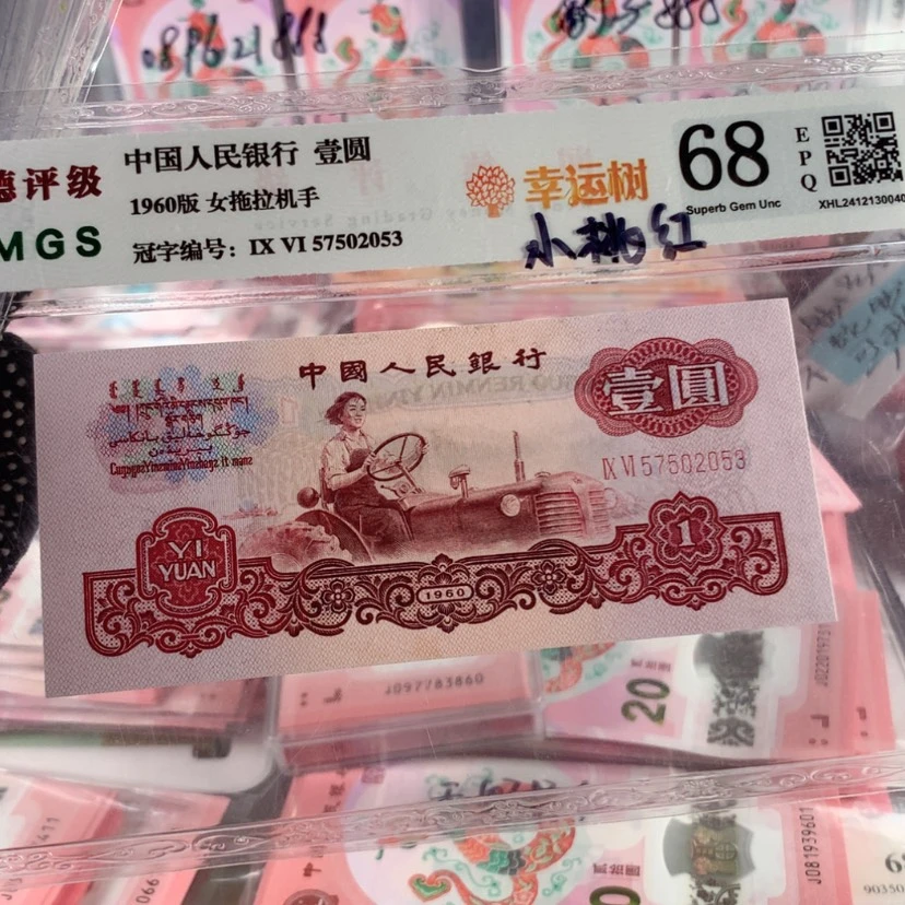 【闪购商品】往***。幸运树57502053