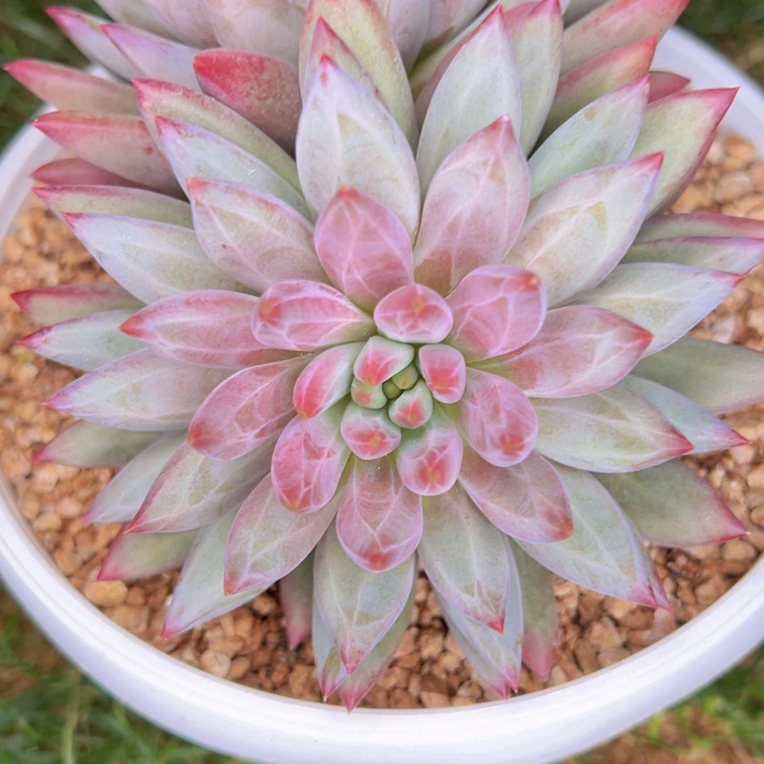 1111111111111111111111