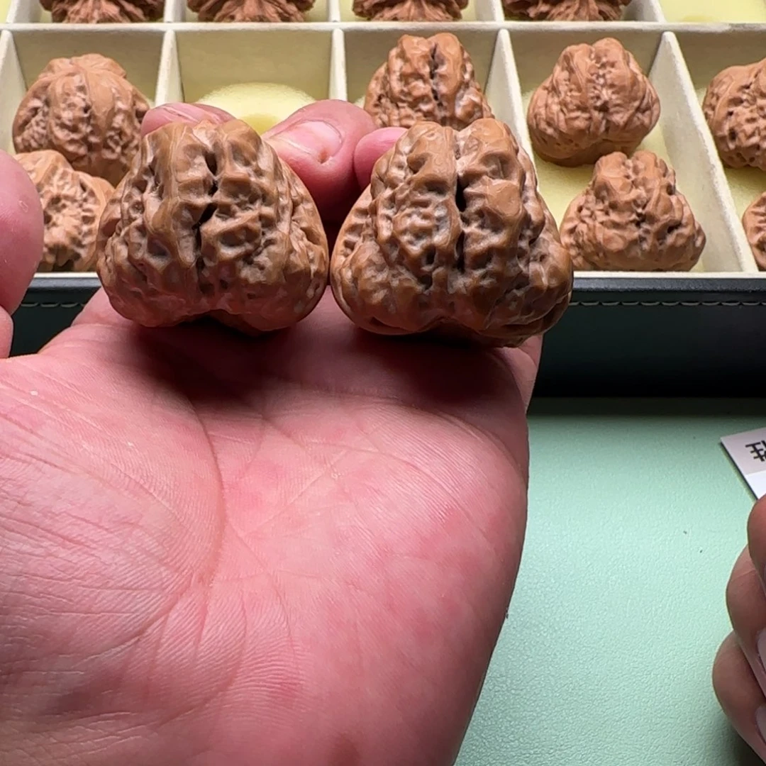 地***险手串/手链核桃蛤蟆头双面蝉王