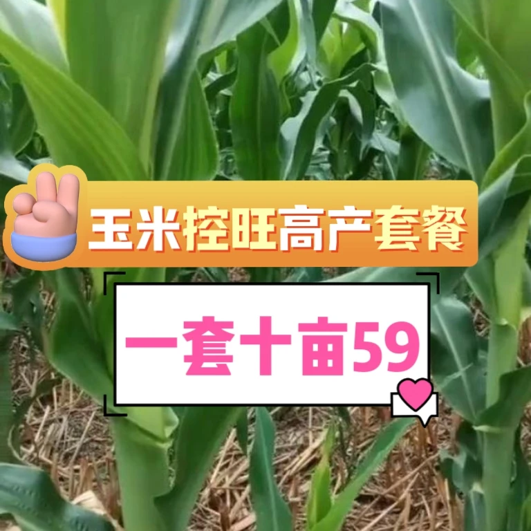 【十亩五九】玉米十亩控旺增产营养叶面组合