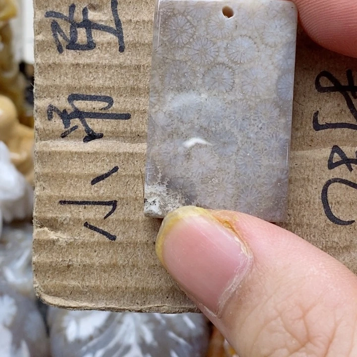 颈饰未镶嵌硅化珊瑚（珊瑚玉）￥****猫