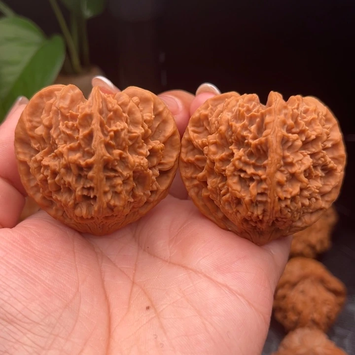 彭***学把件文玩核桃满天星全品