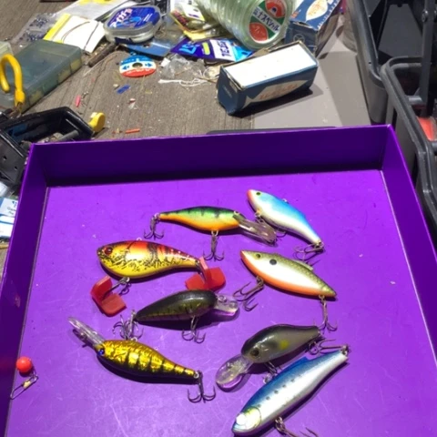 乐博乐路亚饵开始